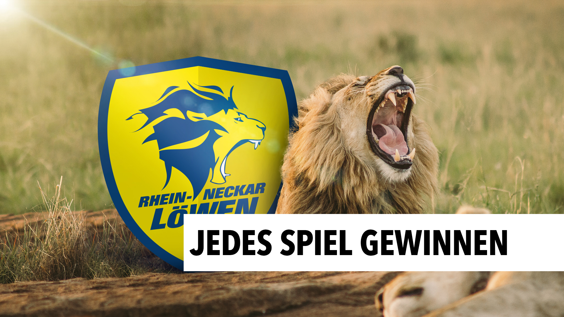 Rhein-Neckar Löwen in Östringen - RON TV