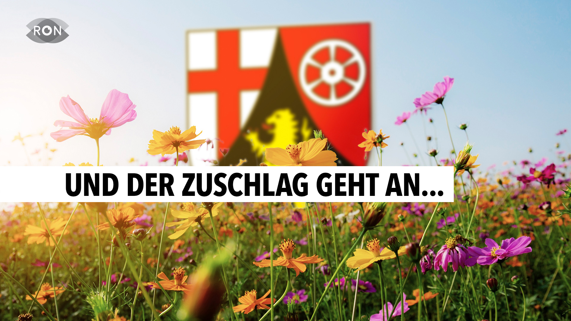 Landesgartenschau 2027 - RON TV