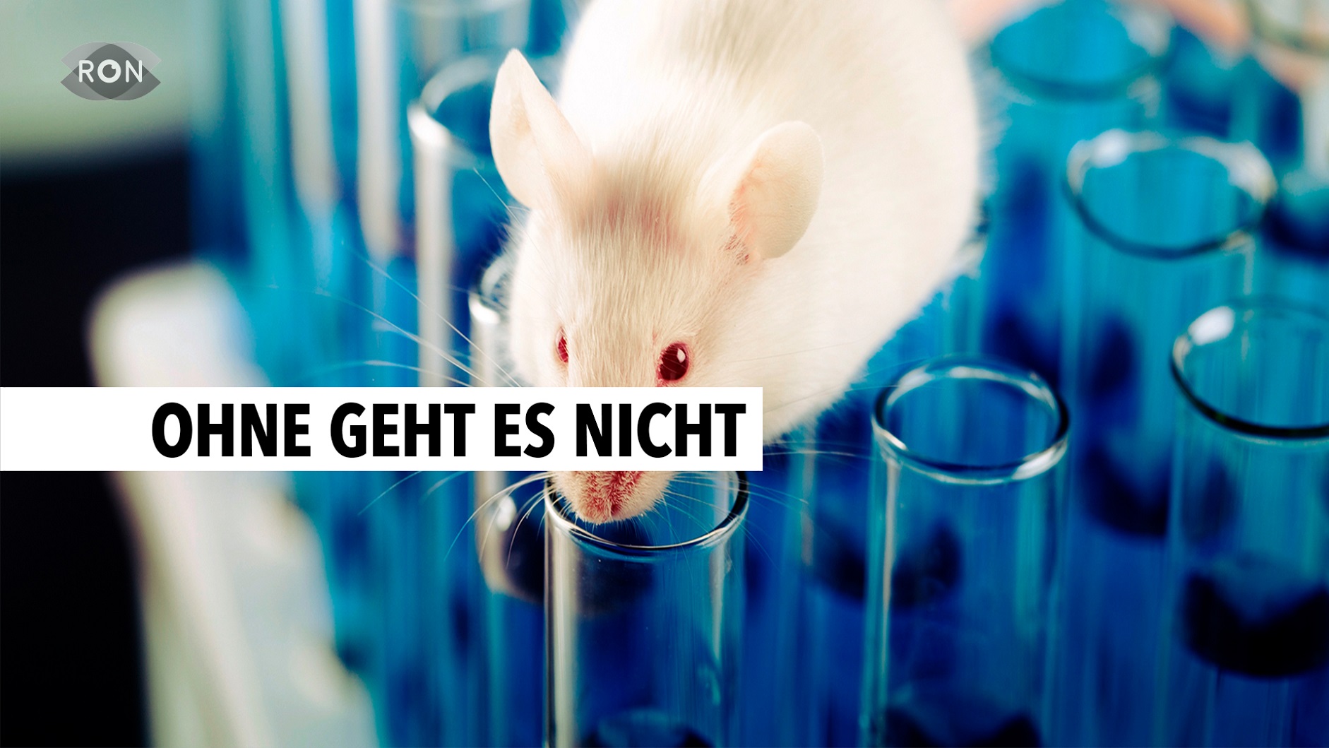 Tierversuche für die Krebsforschung - RON TV