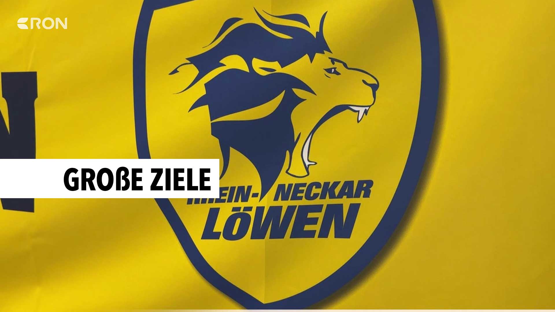 Rhein-Neckar Löwen starten in Vorbereitung - RON TV