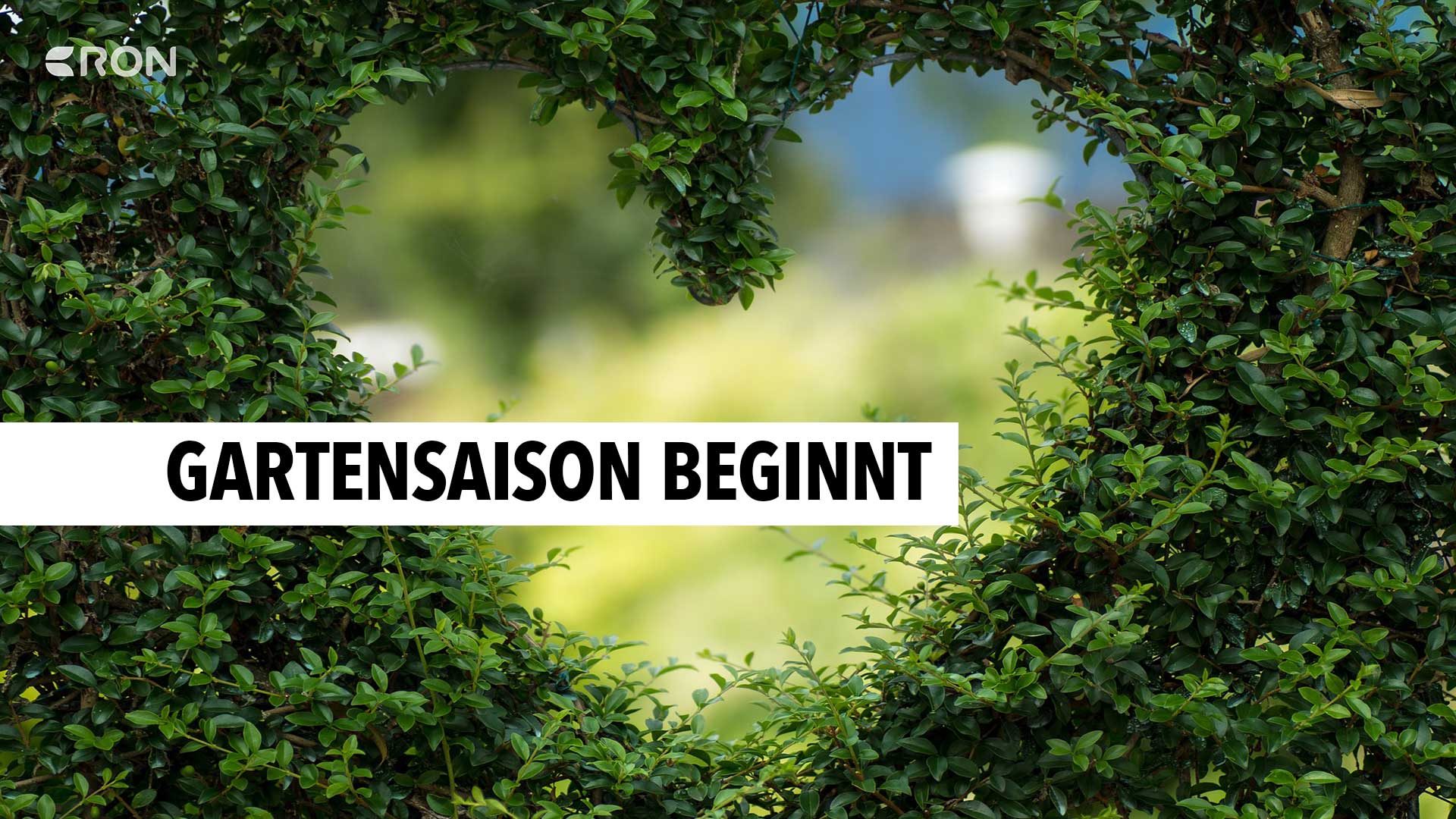 Was tun für den perfekten Garten? RON TV