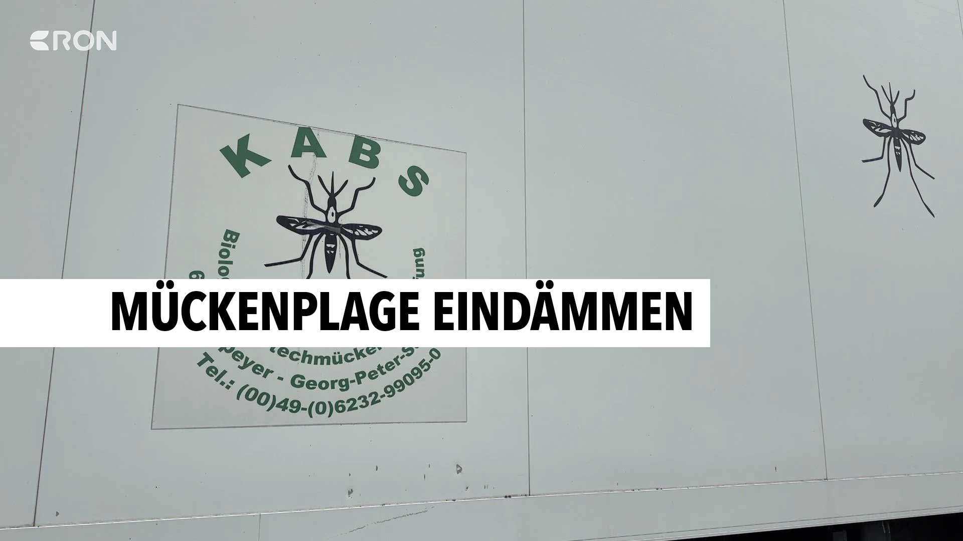 Mit jahrelanger Erfahrung Stechmücken bekämpfen RON TV