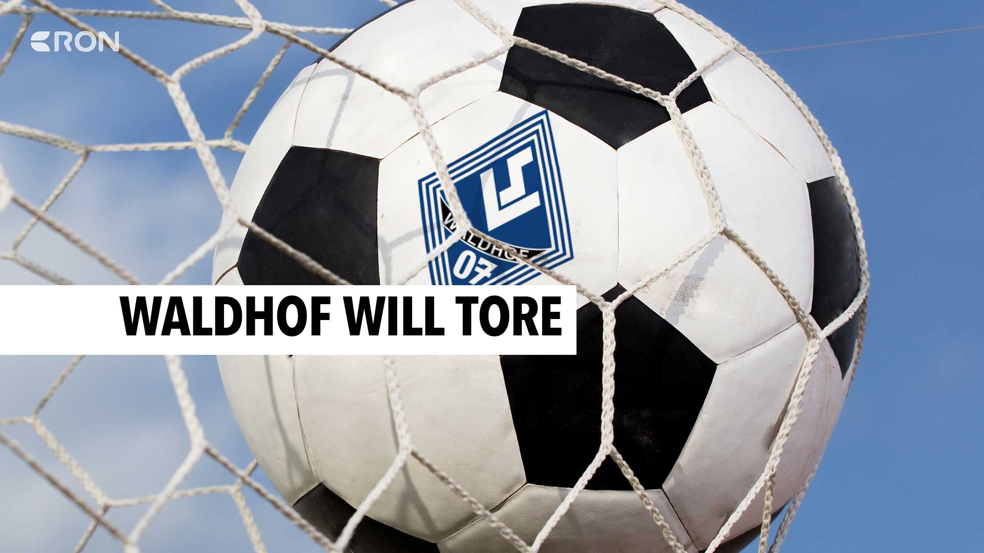 viktoria köln vs. sv waldhof